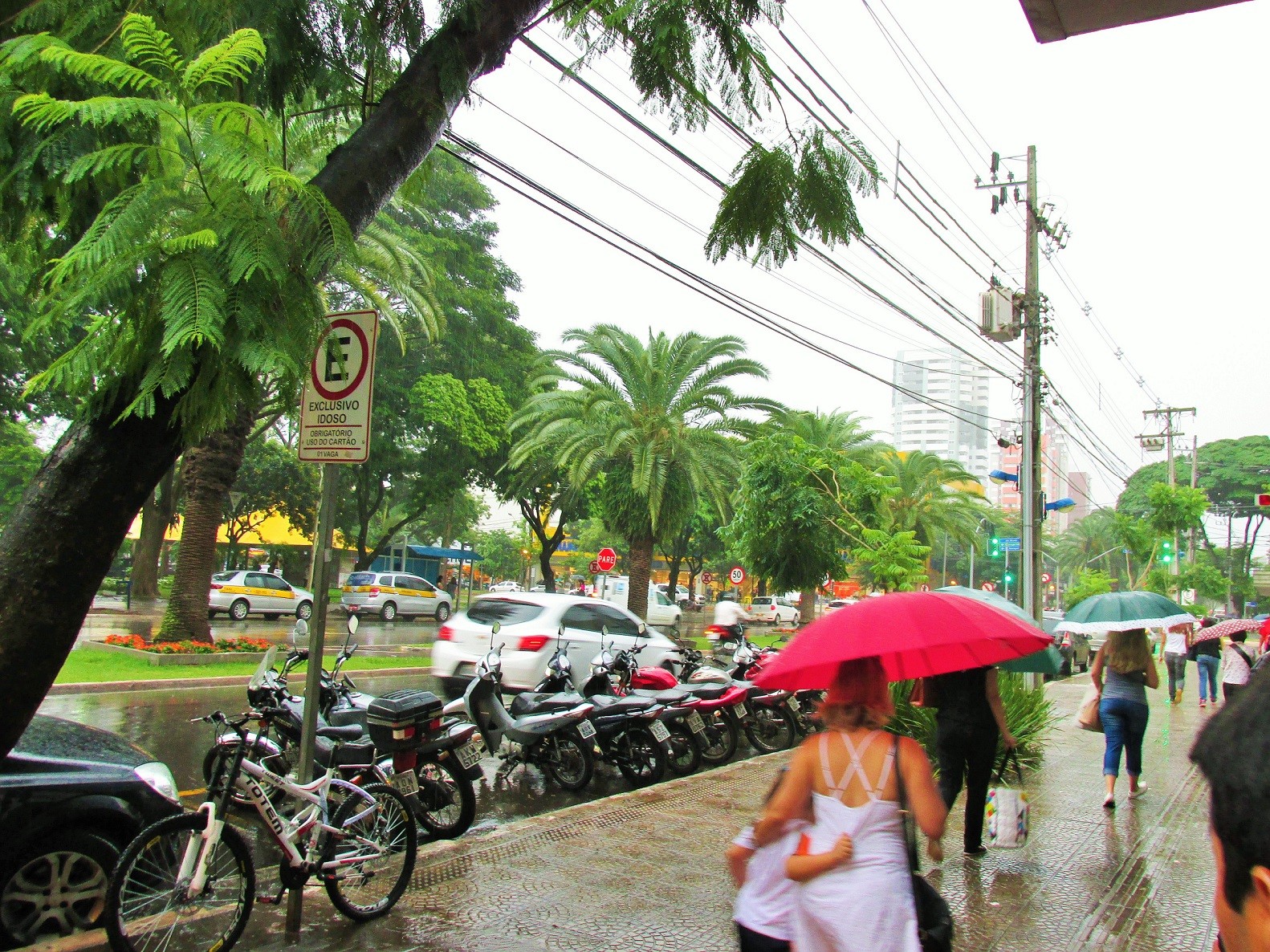Início de ano será de calor e risco de tempestade, diz Simepar