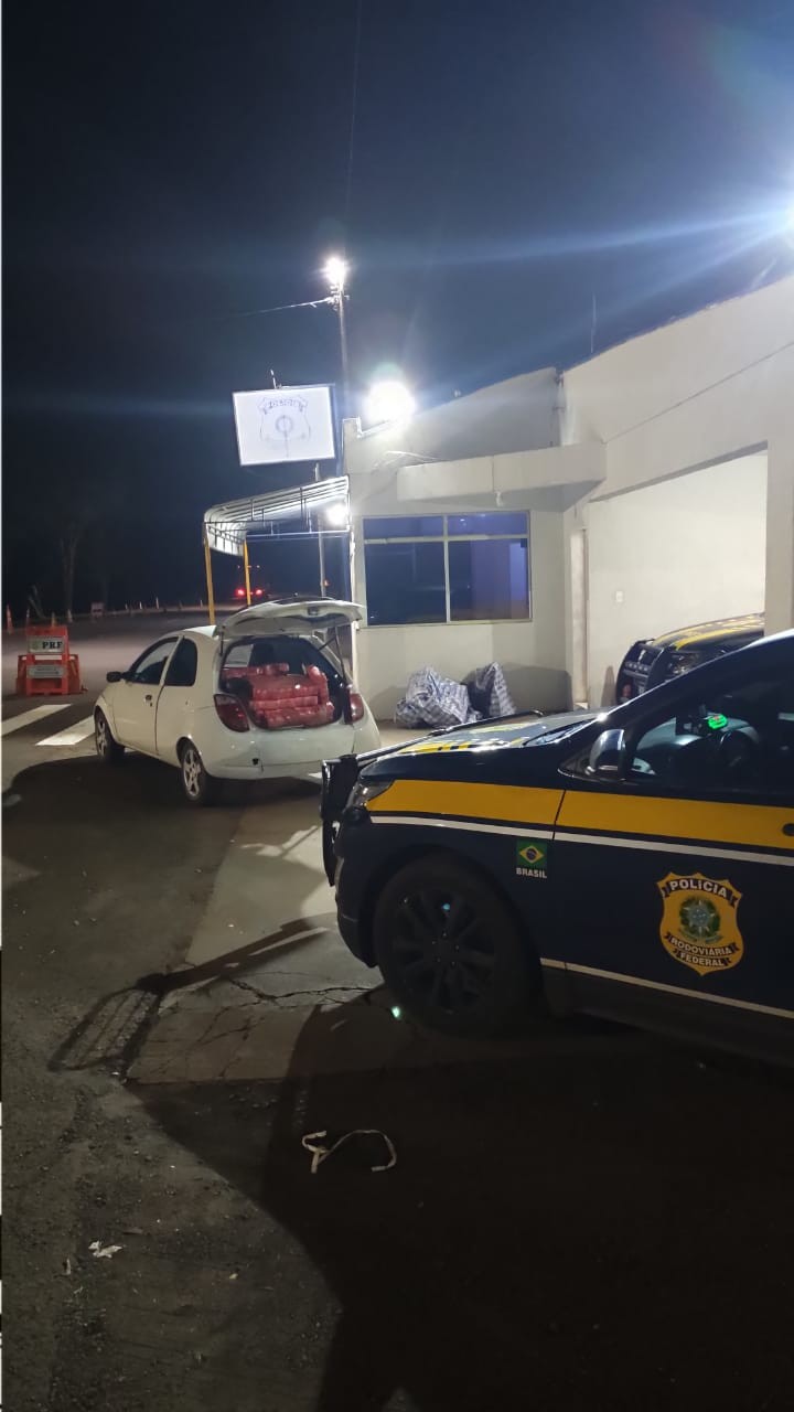 PRF apreende 206 quilos de maconha em Campo Mourão