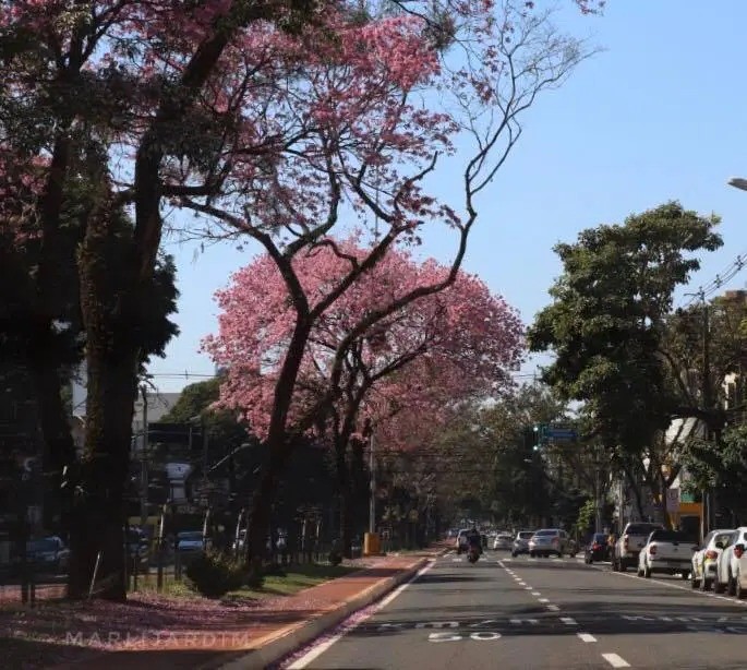 Confira a previsão do tempo para este domingo (1º)