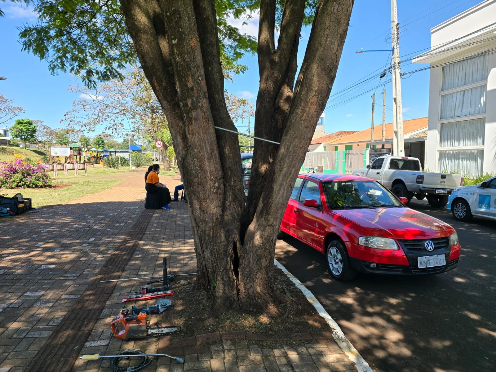 Na semana da árvore, Marialva parafusa tronco de Sibipiruna para salvar a planta