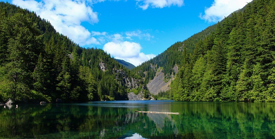 04 de outubro, Dia da Natureza