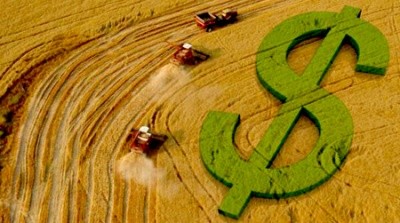 Preços agrícolas estão com tendência de queda no Paraná
