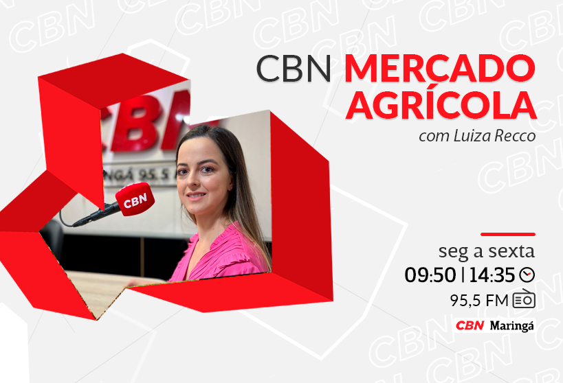 Soja custa na média R$ 125,39 a saca de 60 kg