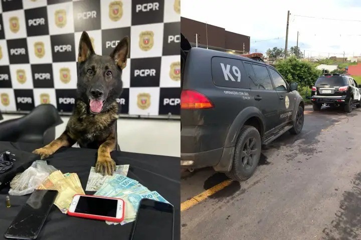 Operação policial prende quatro suspeitos em Umuarama e Goioerê