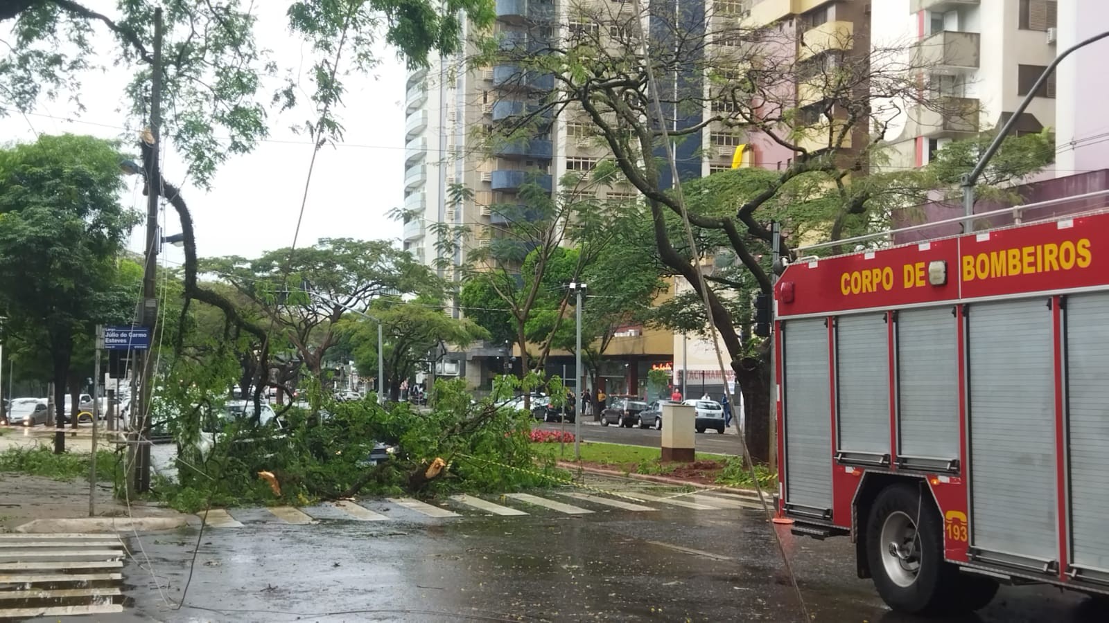 Temporal com granizo derruba árvores e provoca alagamentos em Maringá