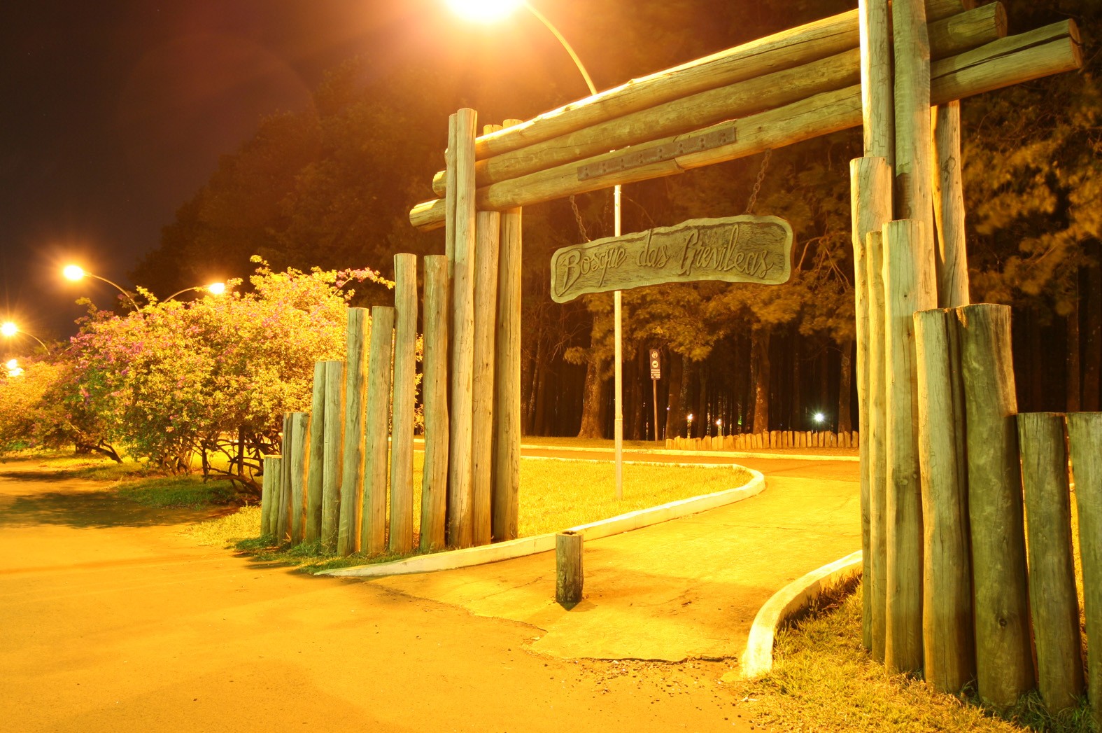‘Bosque Sensorial’ reúne voluntários para plantar árvores no Bosque das Grevíleas