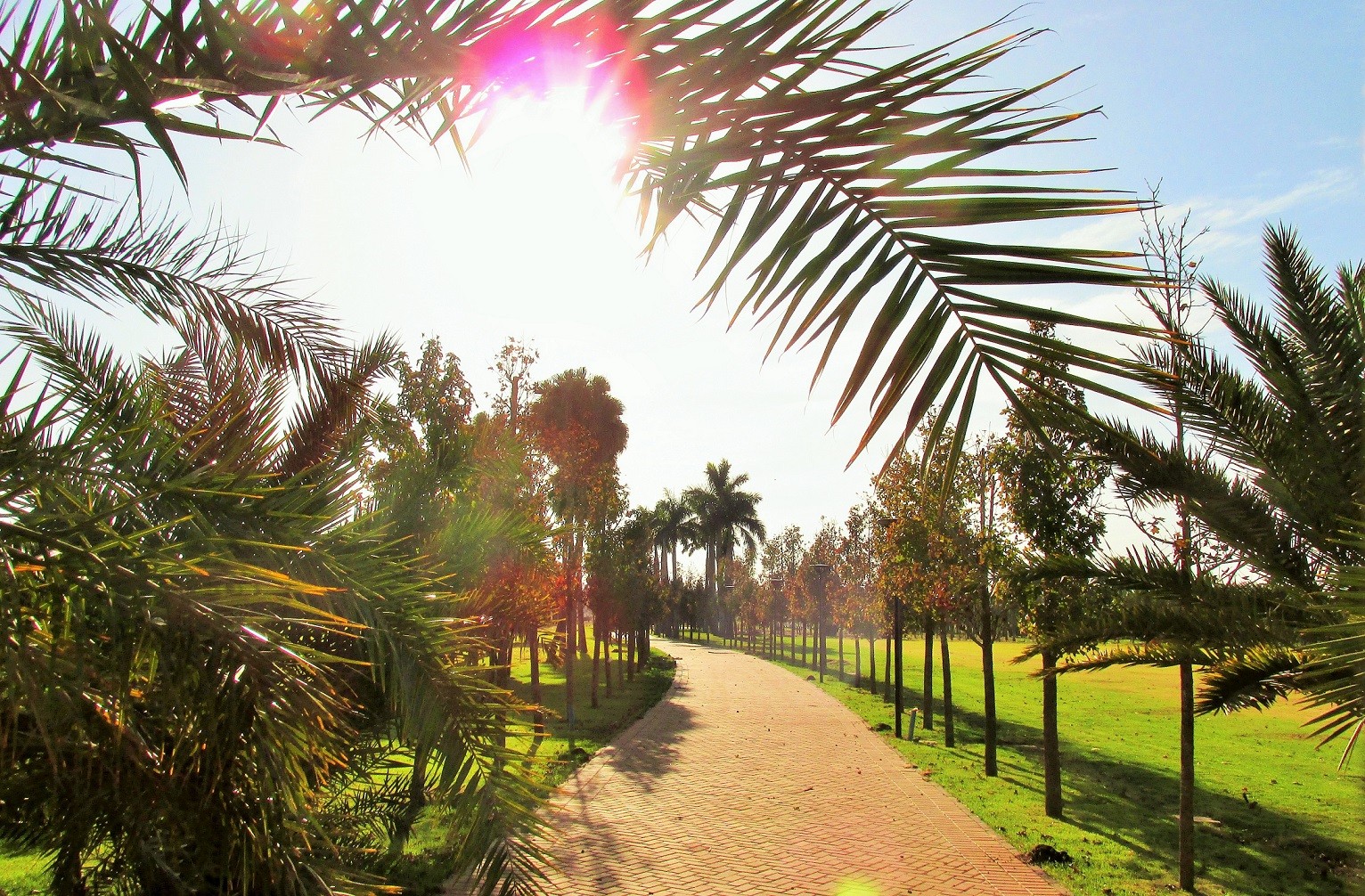 Quinta-feira (12) segue quente e com baixa umidade do ar em Maringá; veja previsão