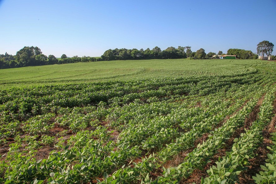 CMN define regras para contratação de seguro rural