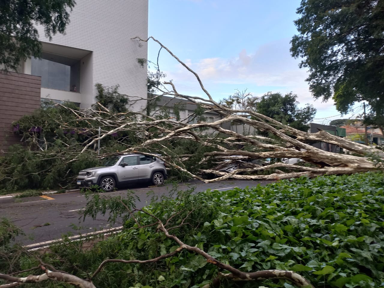 Em torno de 1 mil imóveis continuam sem energia em Maringá, diz Copel