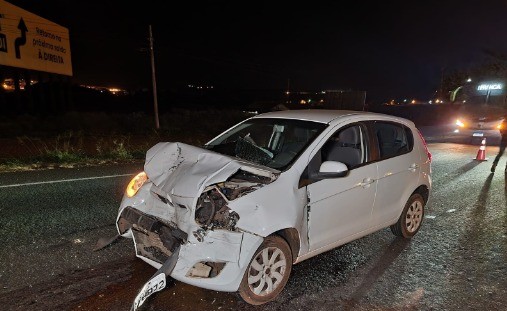 Cavalos morrem após serem atropelados por seis veículos na BR-376, em Sarandi