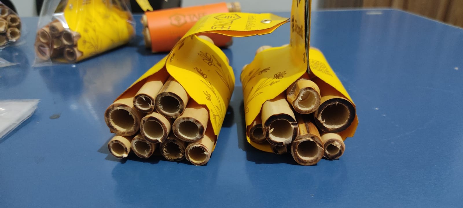 Empresário desenvolve hotel para abelhas em Maringá