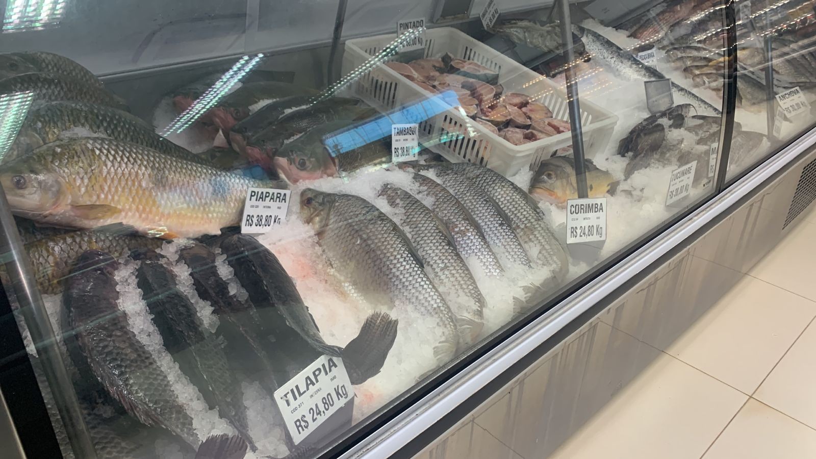 Venda de peixes pode subir até 40% por causa da quaresma