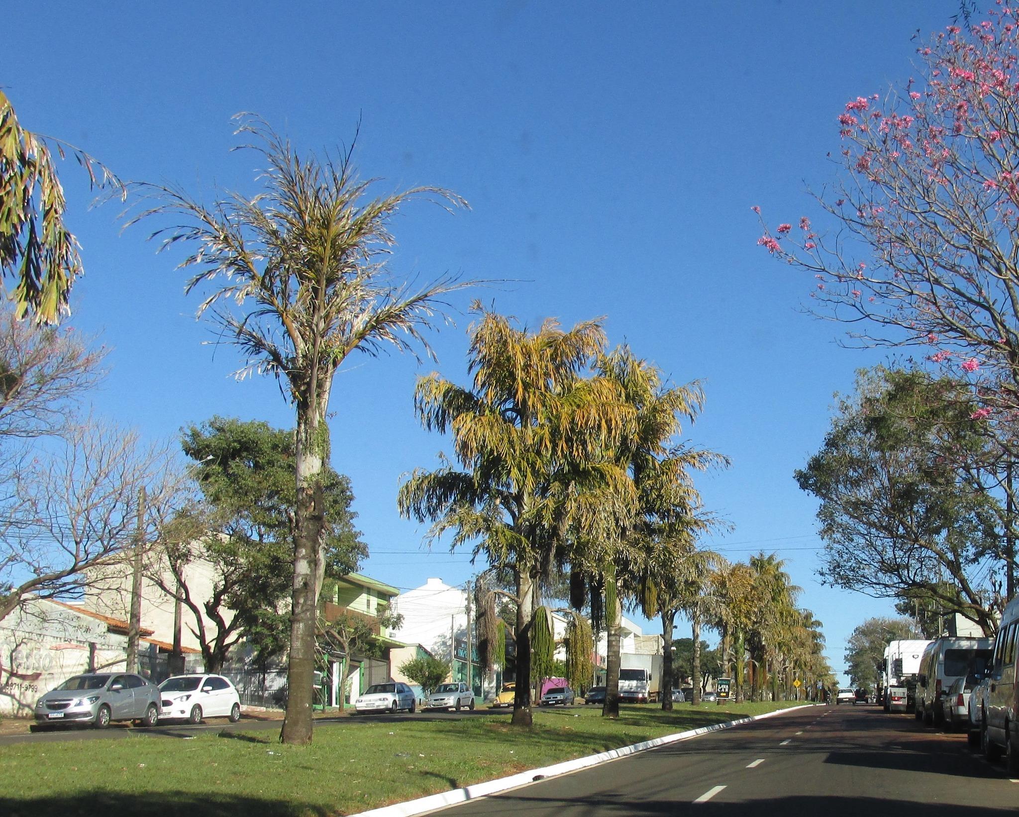 Saiba como fica o tempo em Maringá nesta sexta (1º) e no fim de semana