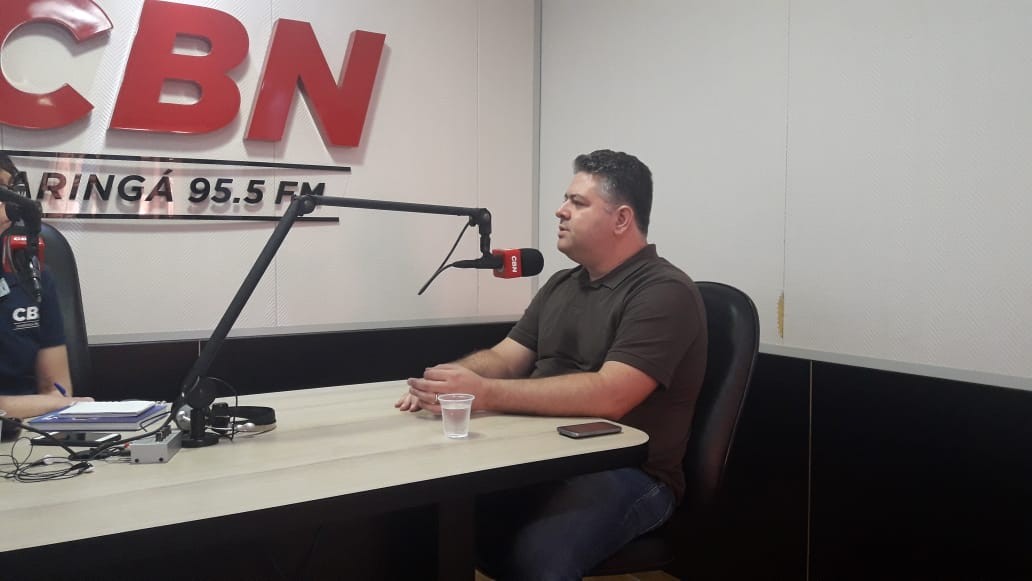 Animal se tornou uma praga urbana e a saída é se prevenir