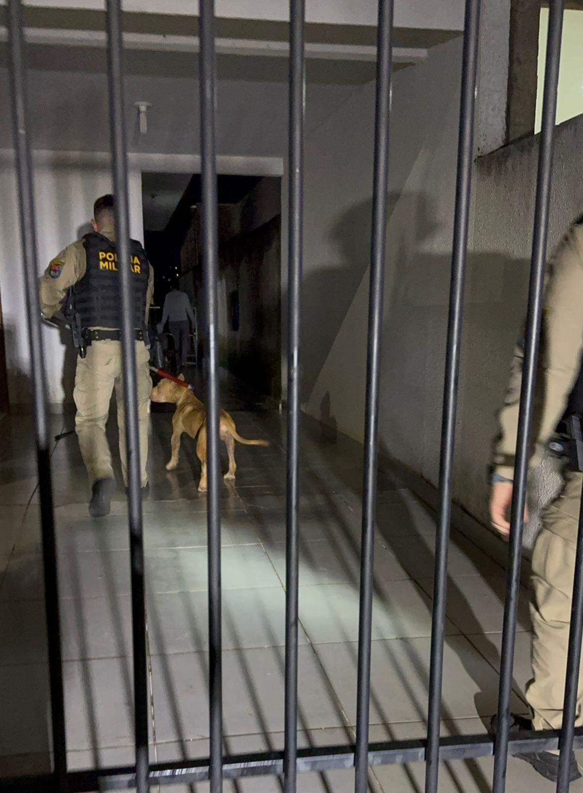 Pitbull ataca tutora e impede entrada dela em residência
