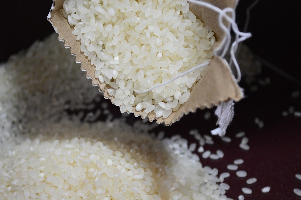 Preço baixo do arroz não cobre custos da produção
