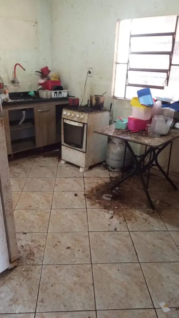 Três crianças são tiradas dos pais por viverem em condições insalubres