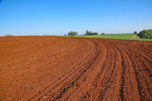 Prosolo: os resultados após a implantação do programa