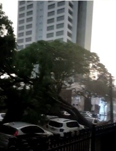 Defesa civil de Maringá registra 10 ocorrências até o momento