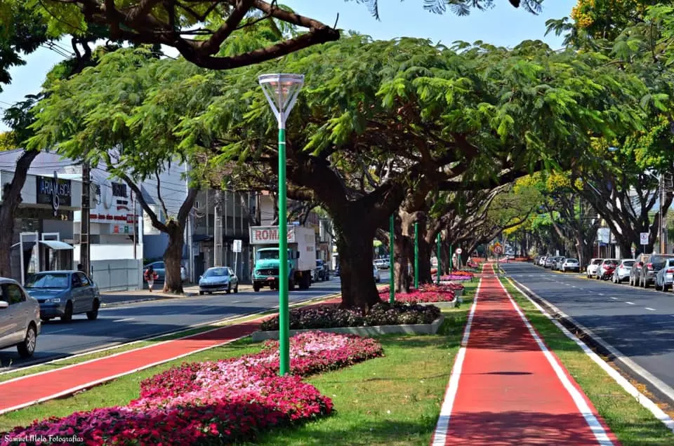 Dia de Nossa Senhora da Glória: Saiba o que abre e fecha no feriado em Maringá