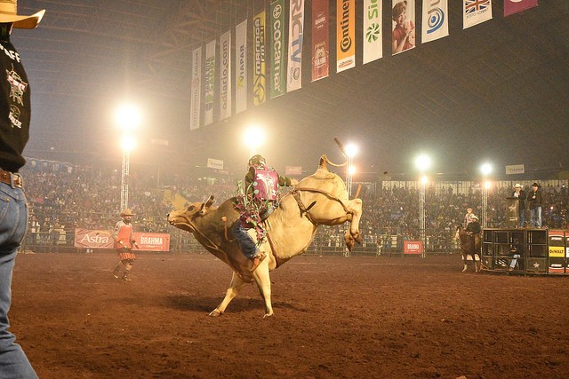 Rodeio da Expoingá tem a volta de categorias tradicionais