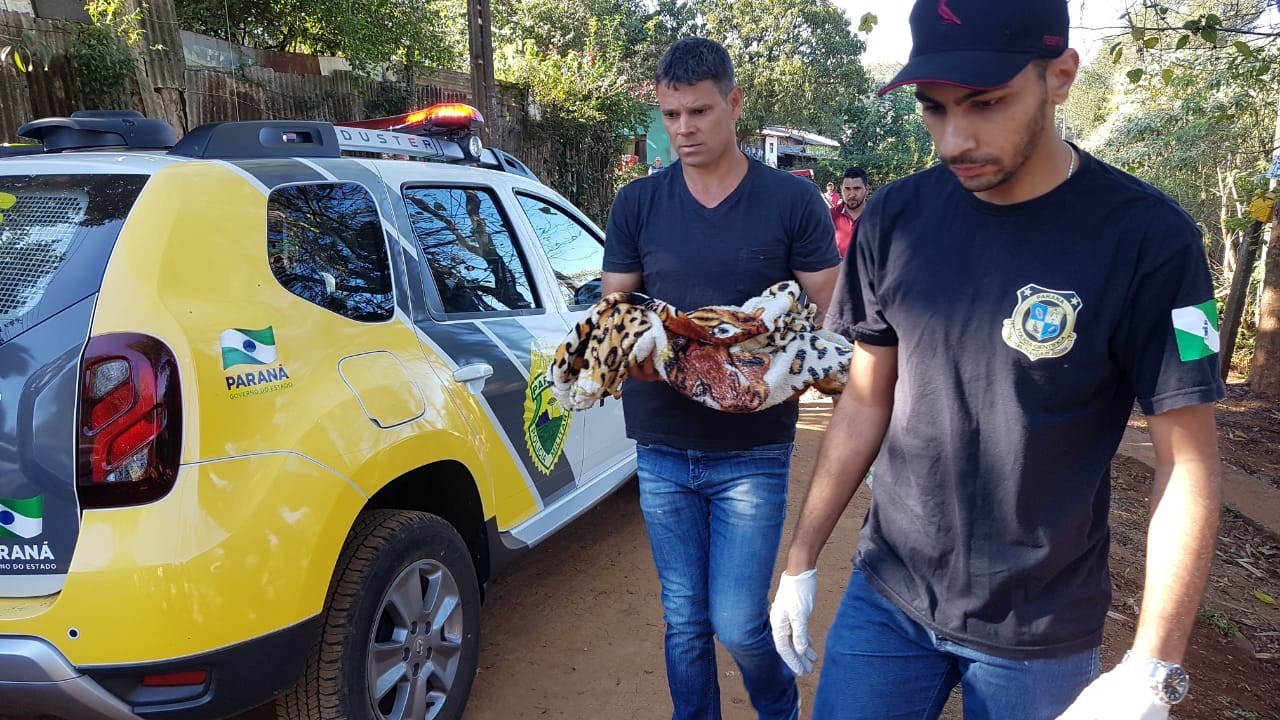 Bebê é encontrado morto com ferimento na cabeça