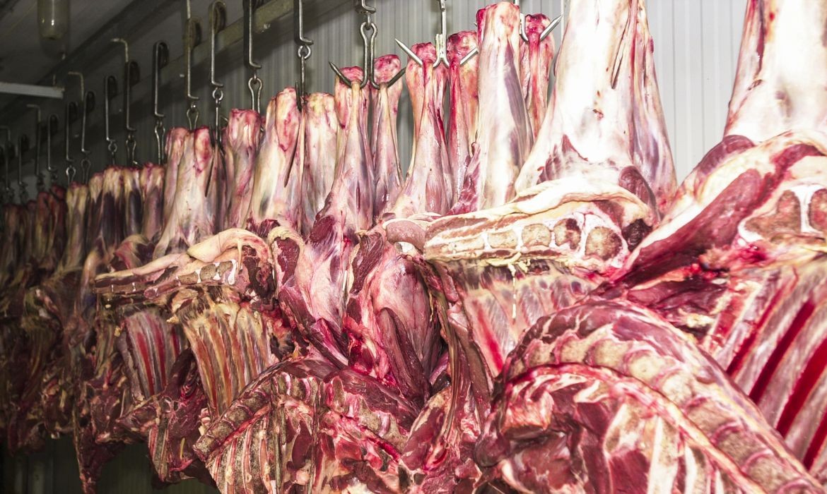 Exportação de carne bovina brasileira cresce em 2022