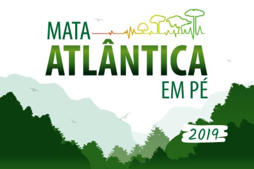 Operação que começou nesta segunda-feira (16) é coordenada pelo MP do Paraná