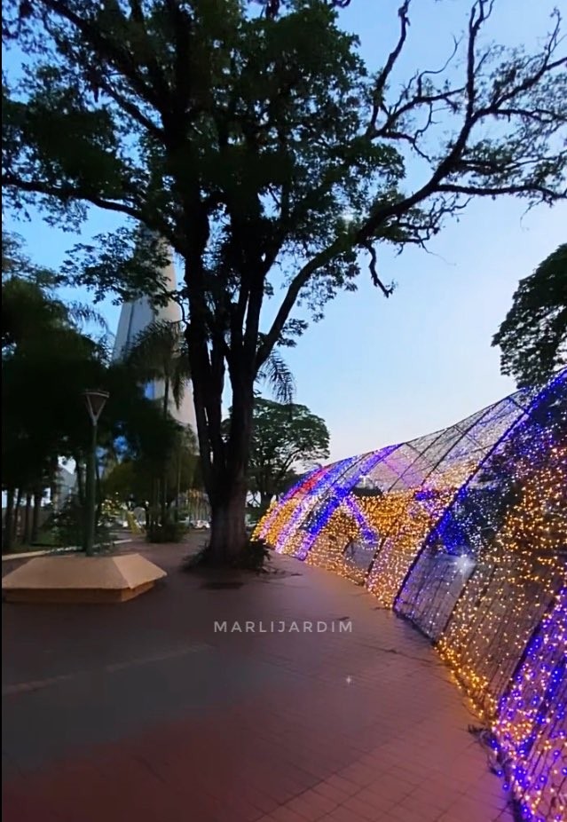Túneis de luz começam a ser montados para a Maringá Encantada