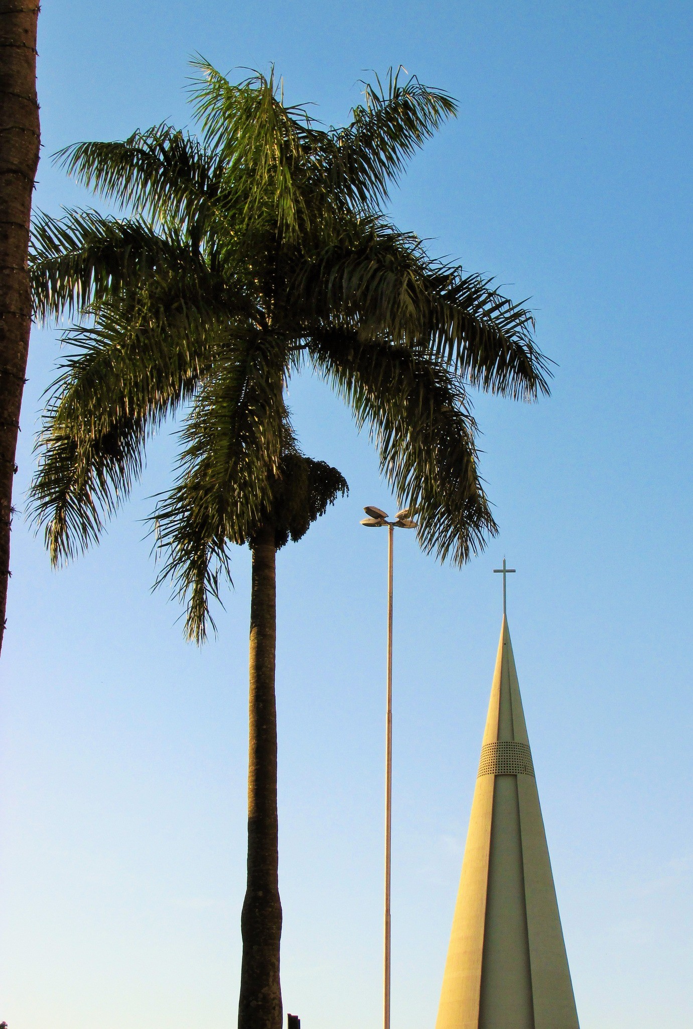 Quinta-feira (1º) segue com tempo estável em Maringá; veja previsão