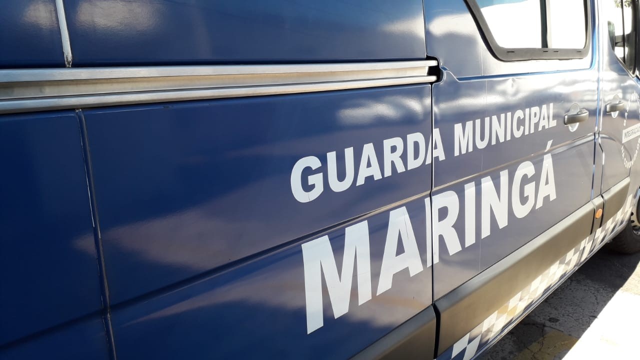 Guarda Municipal monta pontos fixos de fiscalização na Carlos Borges e Gastão Vidigal