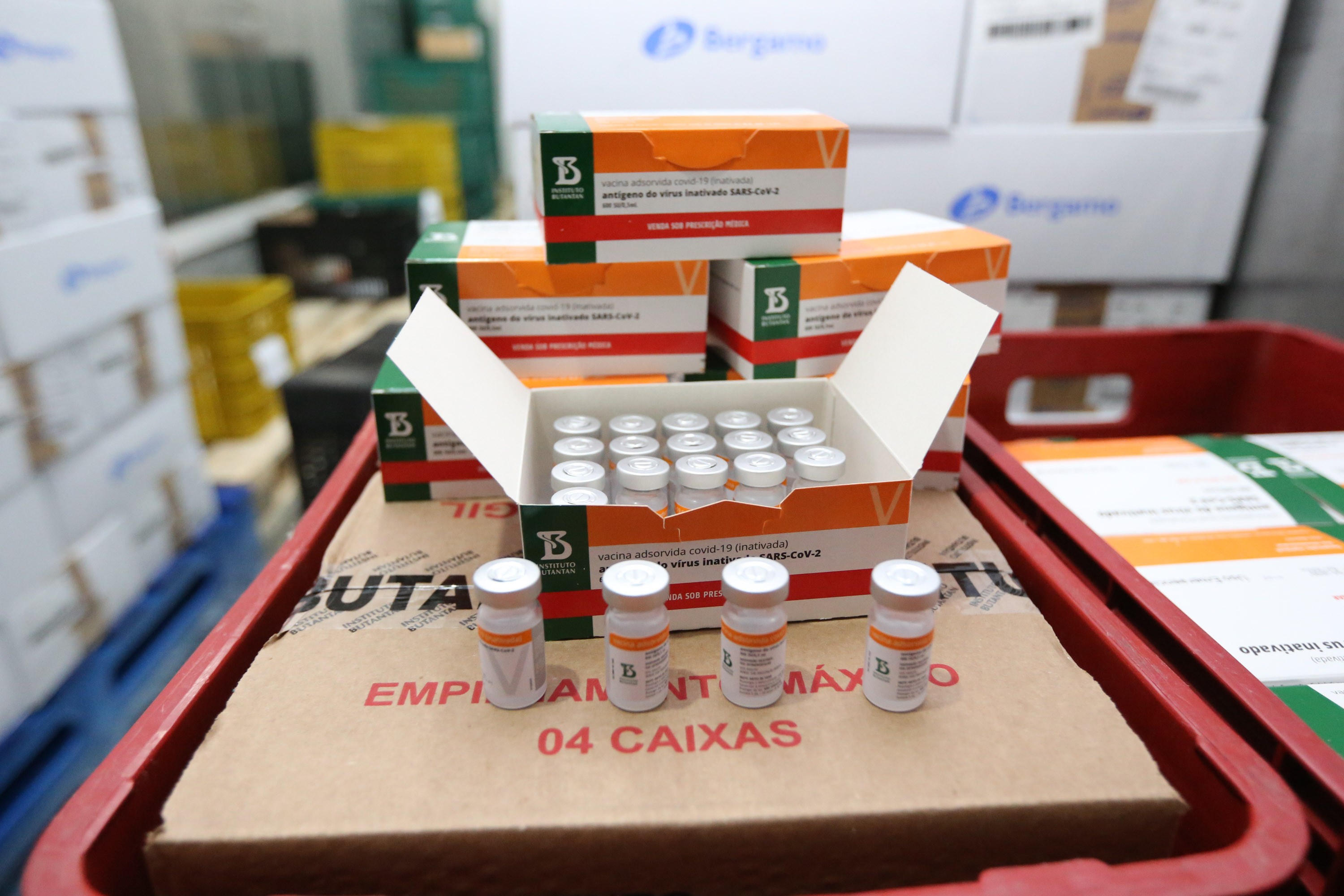 Maringá recebe mais um lote de vacinas contra o coronavírus