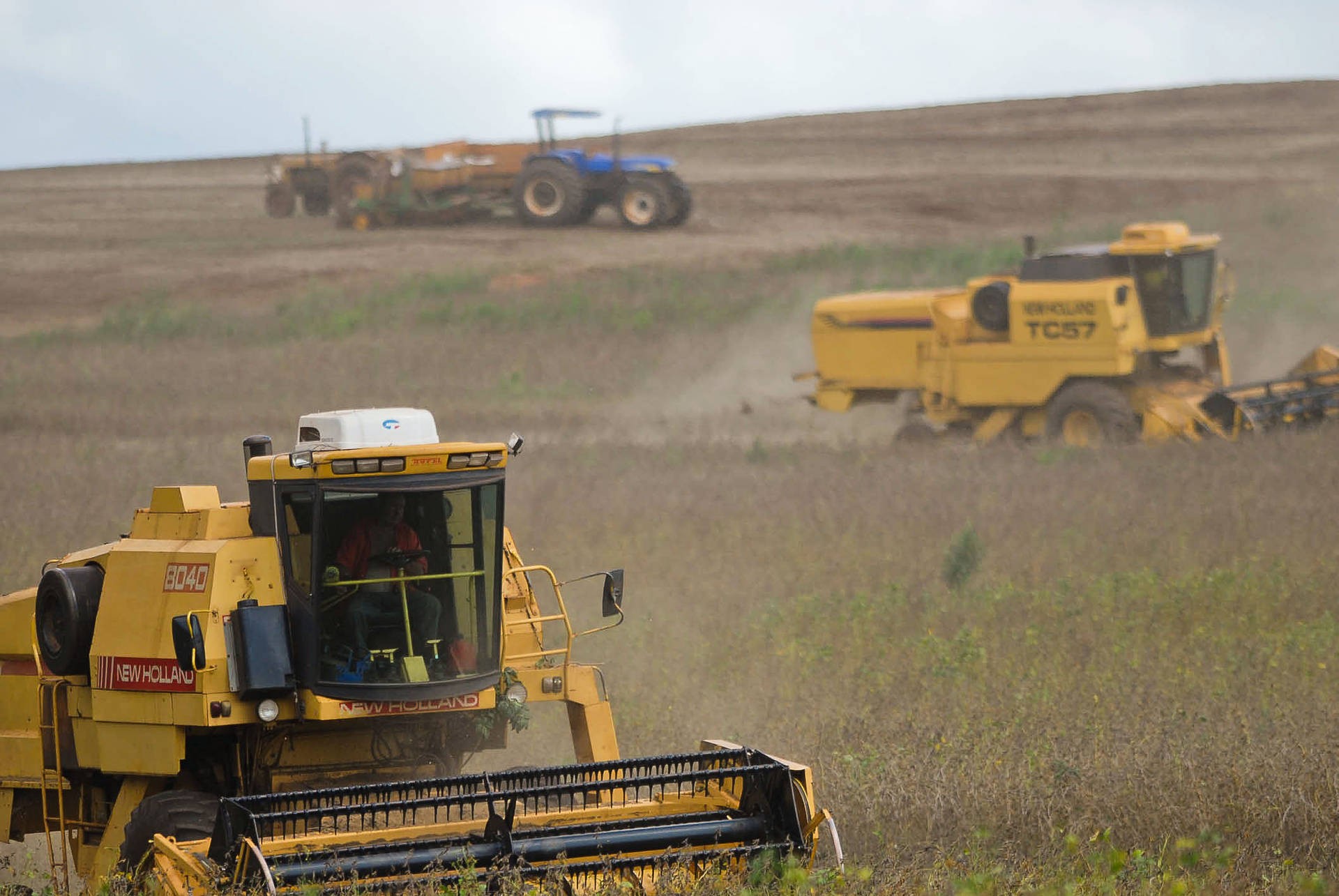 Seca pode afetar produção rural neste inverno
