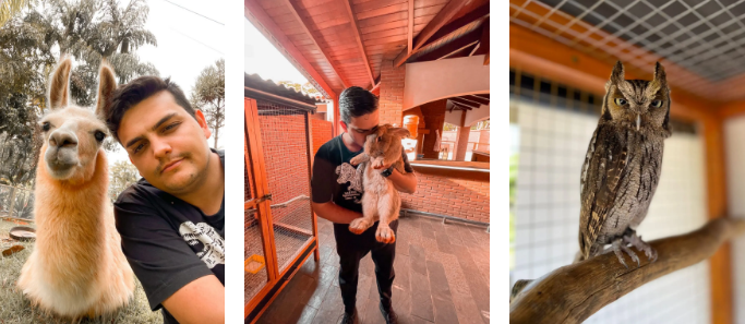 Famílias de Maringá que moram com animais de estimação incomuns