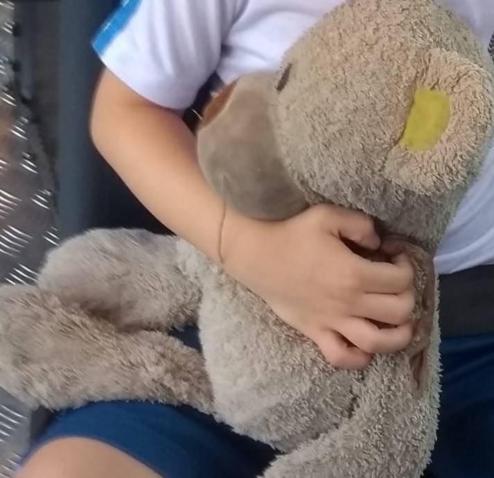 Comunidade de Maringá se mobiliza para encontrar urso de criança com autismo
