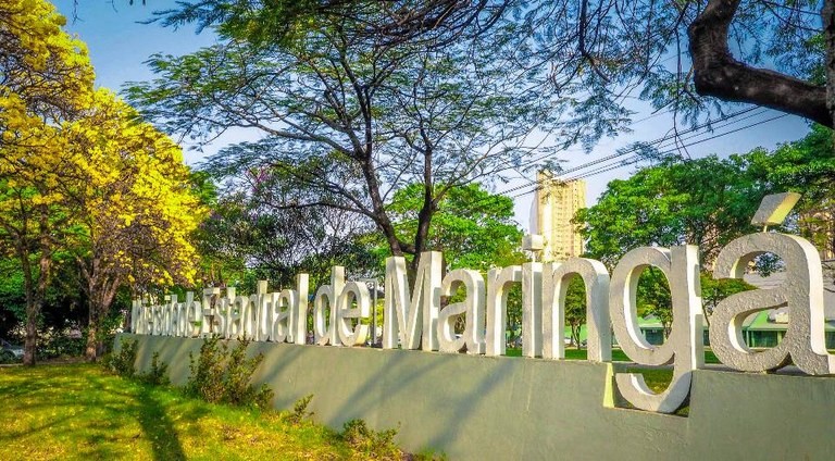 UEM estima que 20 bolsas devam ser atingidas com nova decisão da Capes