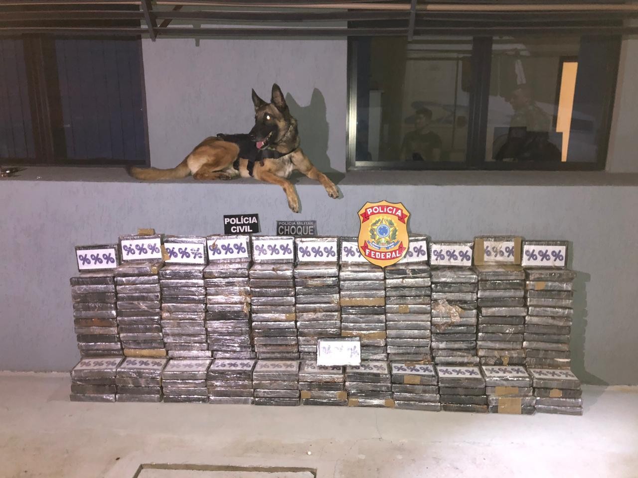 Polícia Federal apreende 233 kgs de cocaína em pó