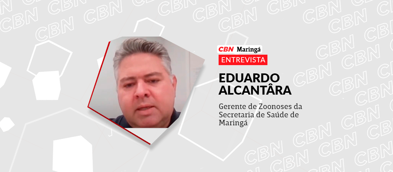 Maringá está em fase de transmissão sustentada da dengue