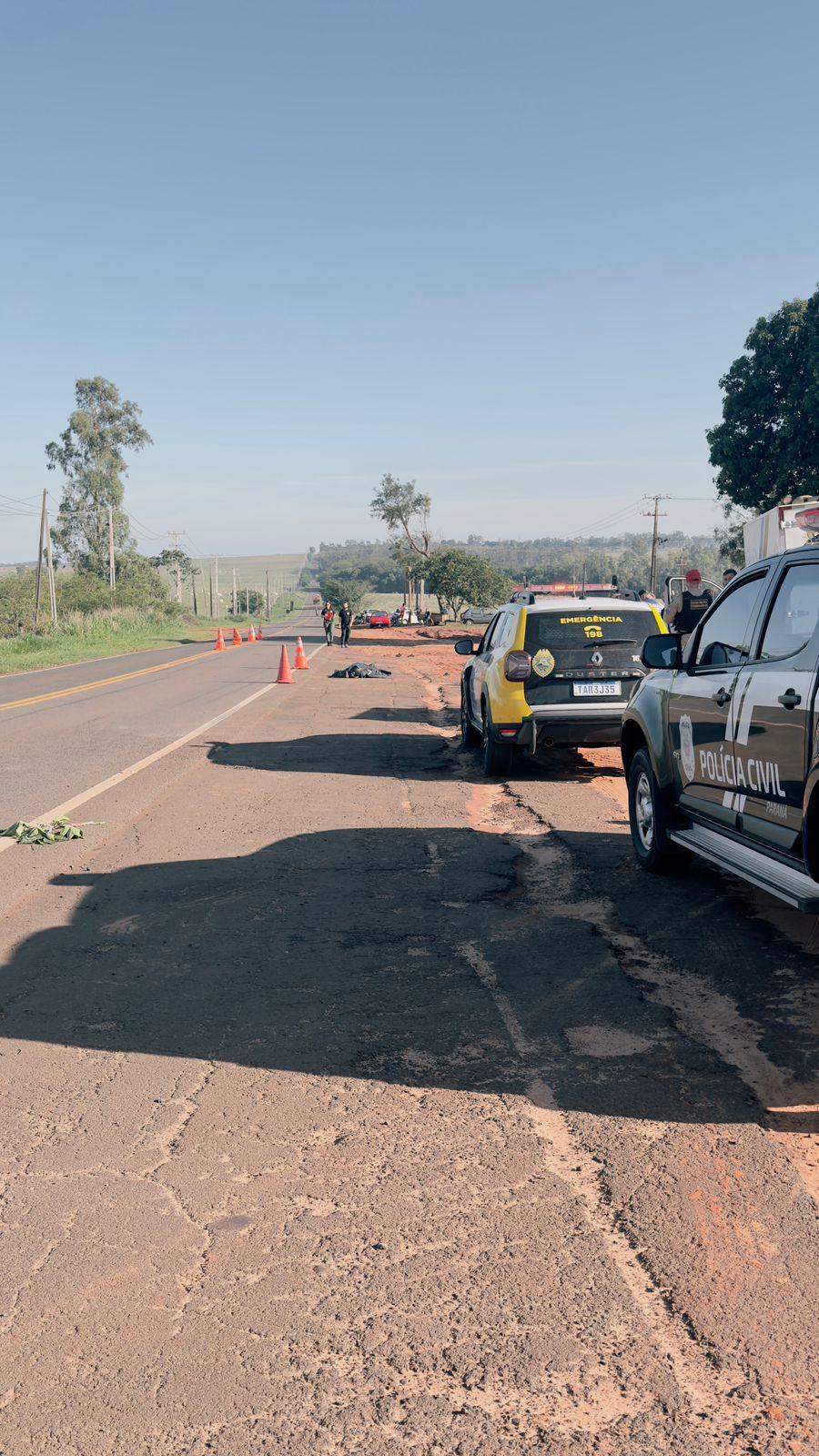 Animal solto em rodovia provoca acidente com morte