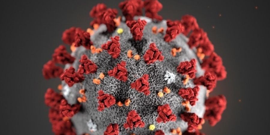 Pandemias são fatos históricos, muitas e ajudam a entender a nossa história