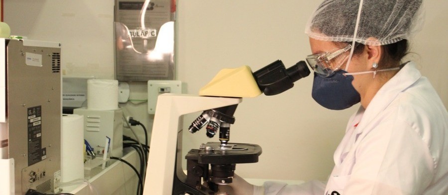 Coronavírus: veja os dados deste domingo (11) em Maringá