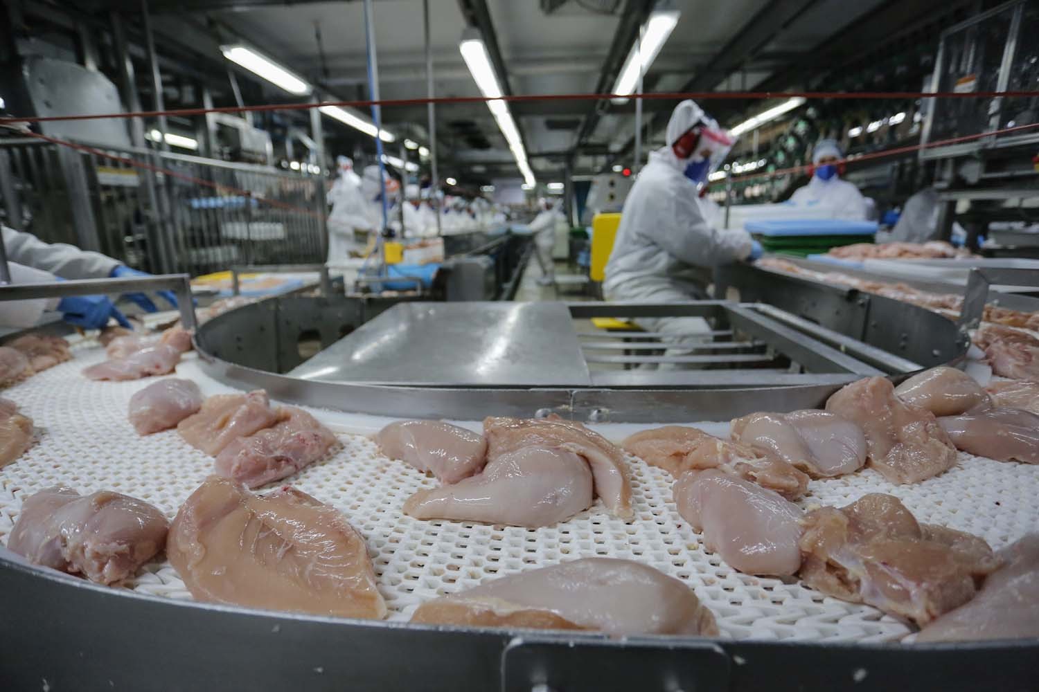 Exportação de carne de frango bate recorde