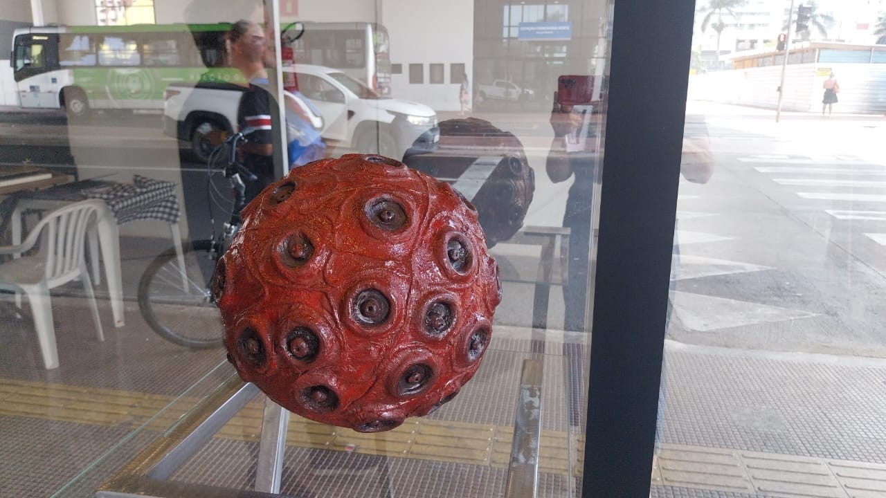 Exposição Transiência convida o público à reflexão