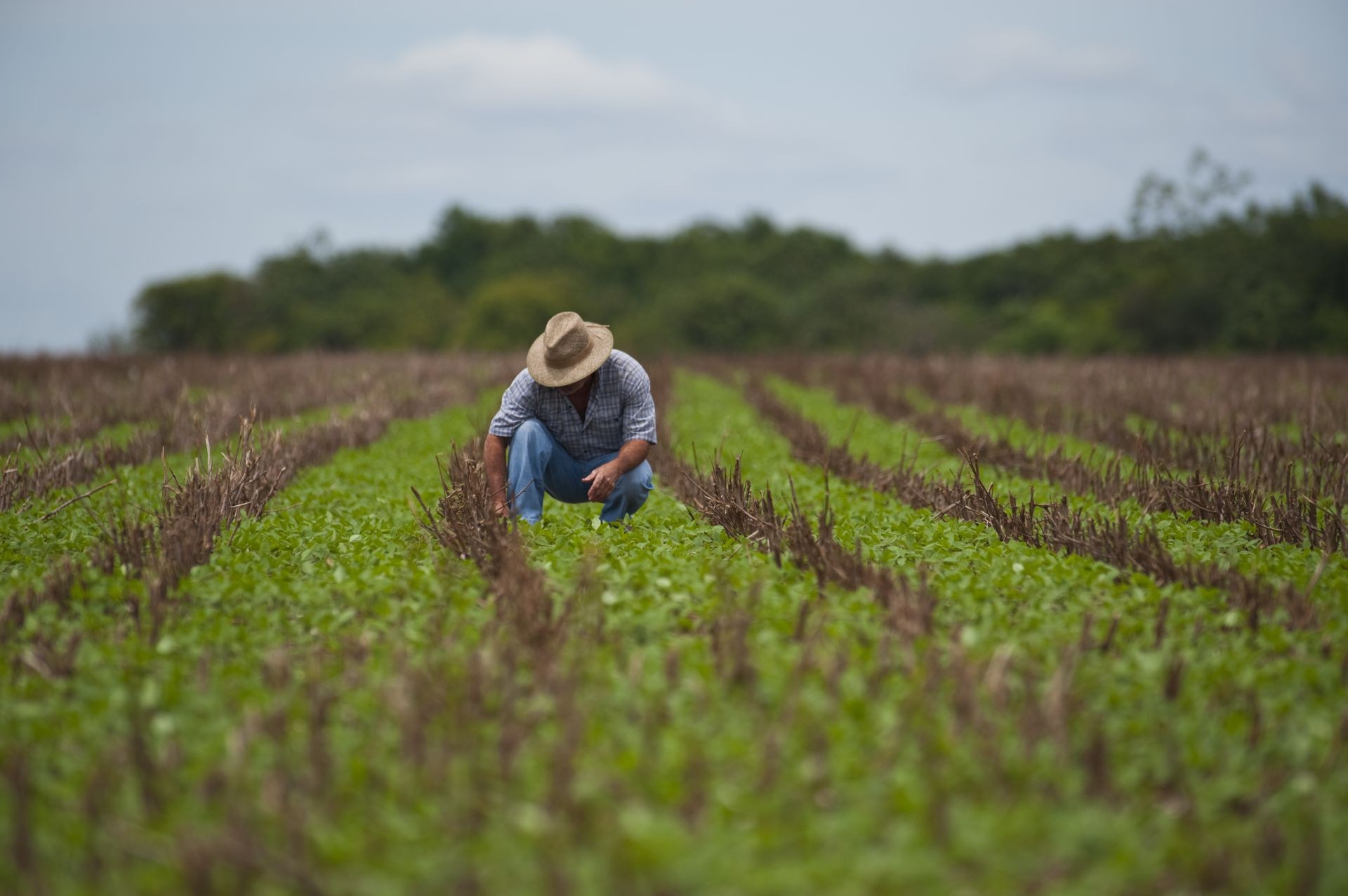 Após o STJ julgar o Plano Collor no crédito rural, será que o assunto finaliza?