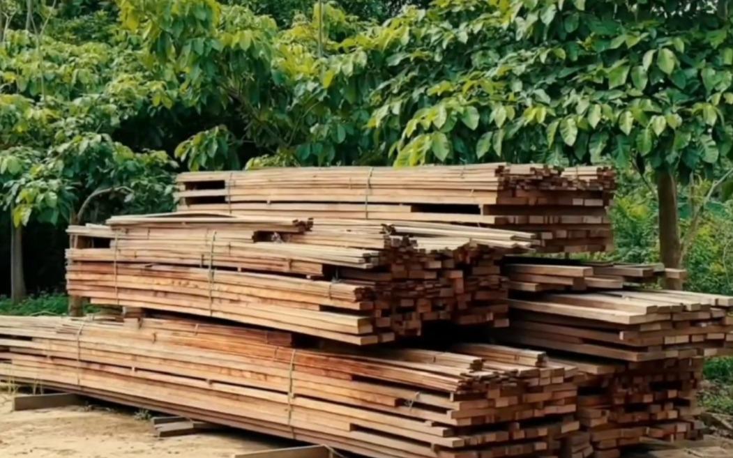 Juiz natural de Campo Mourão ganha prêmio nacional por projeto sustentável