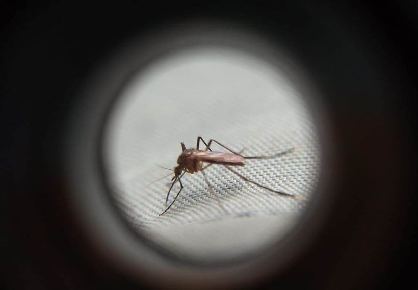 Itambé e Moreira Sales estão em alerta de epidemia de dengue