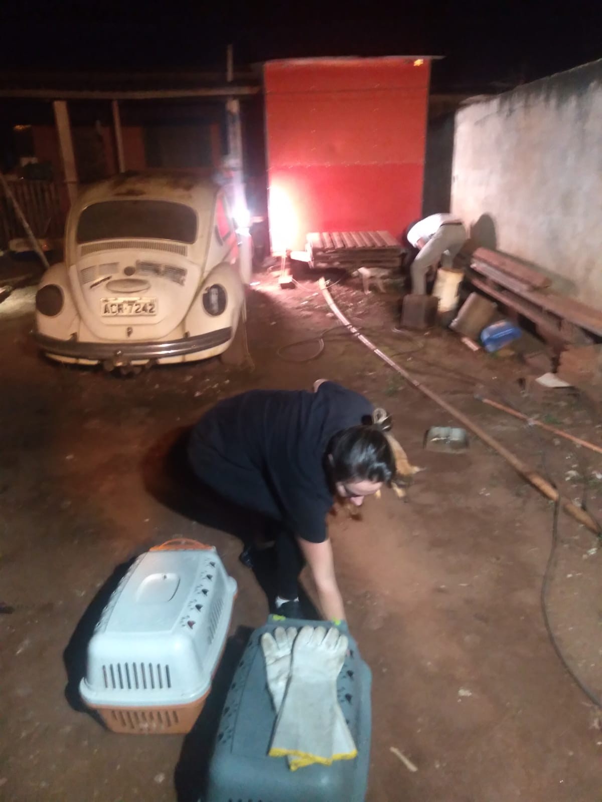 Homem é preso após cachorros serem encontrados em situação de maus-tratos, em Sarandi