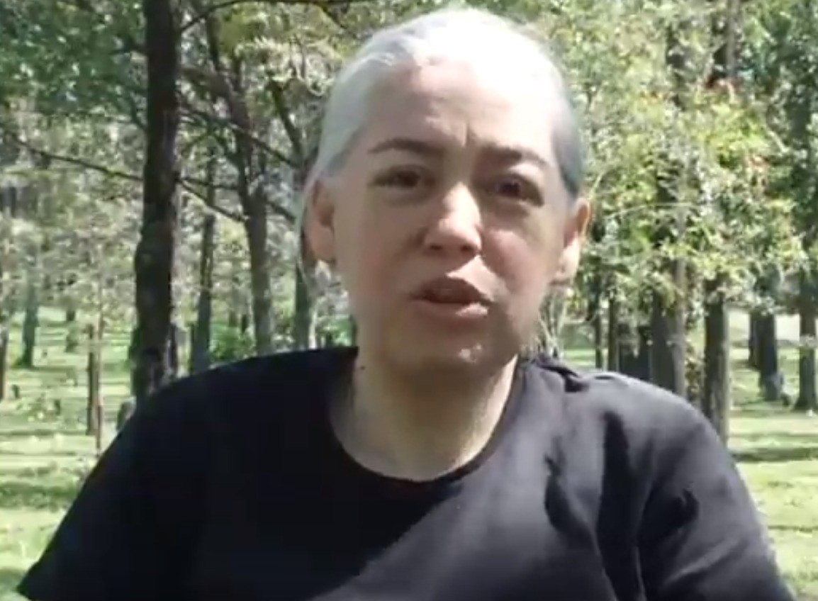 Morre em Maringá a ambientalista Ana Domingues