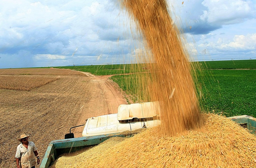 Produção paranaense de grãos deve chegar a 37,1 milhões de toneladas
