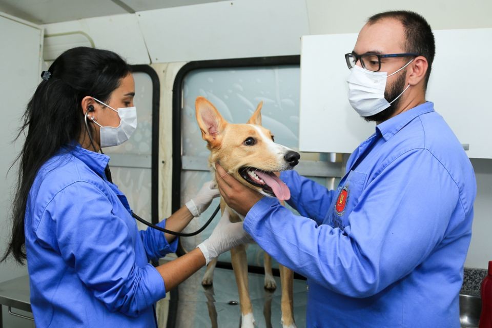 Bem-Estar Animal nos Bairros está na Vila Morangueira até 15h